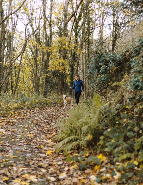 Mujer Y Perro Paseando En El Bosque